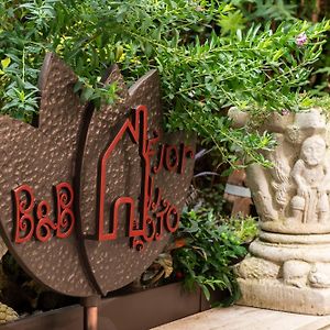 Fiordiloto B&B 4 Stars